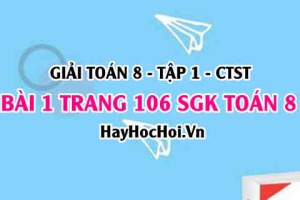 Giải bài 1 trang 106 Toán 8 Tập 1 SGK Chân trời sáng tạo
